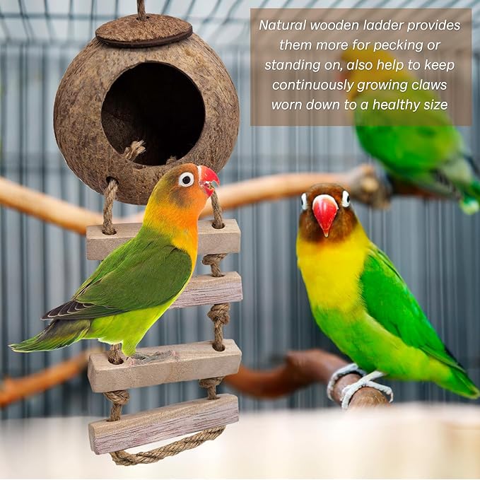 PINVNBY Coconut Bird Nest Hut with Ladder, Coconut Hide Lovebird House Hanging Toy for Budgies Parakeet Cockatiels Conure Canary Finch Pigeon (with Natural Coconut Fiber)