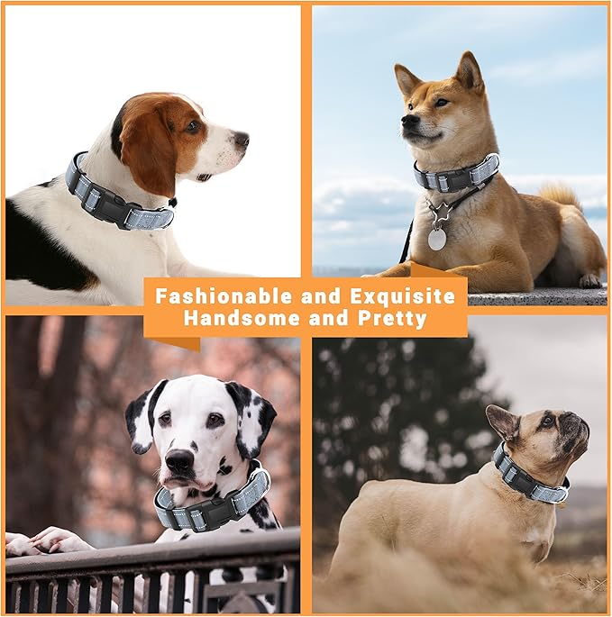 2 Pack Reflective Dog Collar with Safety Locking Buckle, Adjustable Soft Breathable Comfortable Nylon Pet Collar for Small, Medium and Large Dogs, Gray, XS