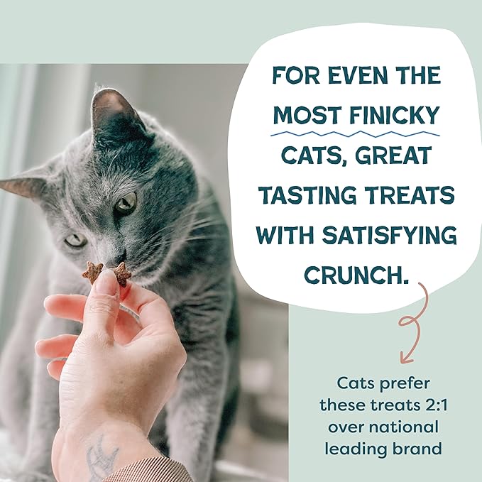 Shameless Pets Crunchy Cat Treats - Kitty Treats for Cats with Skin & Coat Support, Natural Ingredients Kitten Treats with Real Salmon, Healthy Flavored Feline Snacks - Yam Good Salmon, 1-Pk