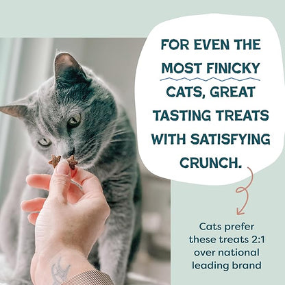 Shameless Pets Crunchy Cat Treats - Kitty Treats for Cats with Skin & Coat Support, Natural Ingredients Kitten Treats with Real Salmon, Healthy Flavored Feline Snacks - Yam Good Salmon, 1-Pk