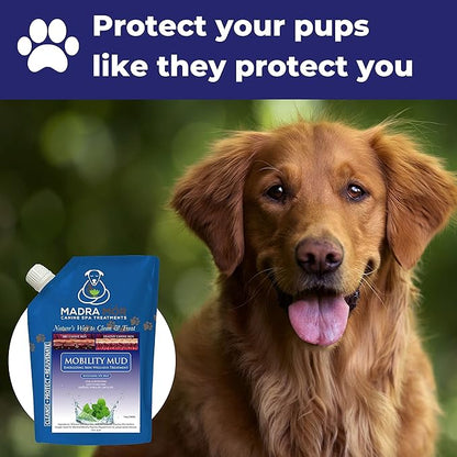 Worldwide Nutrition Bundle: Madra Mor Mobility Mud - Dog Essentials Mud Bath, Dog Grooming, Dry Skin for Dogs Treatment, Dog Coat Skin Care Products - 10oz Pouch & Multi-Purpose Key Chain