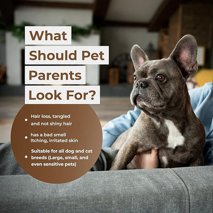 Natural Pet Shampoo for Dogs & Cats – Smooth Coat, Reduce Shedding & Odor Control – Coconut & Olive Oil Formula - Safe for Sensitive Skin, Hypoallergenic, Relieve Dry Skin - [Shampoo + Ear Drop]