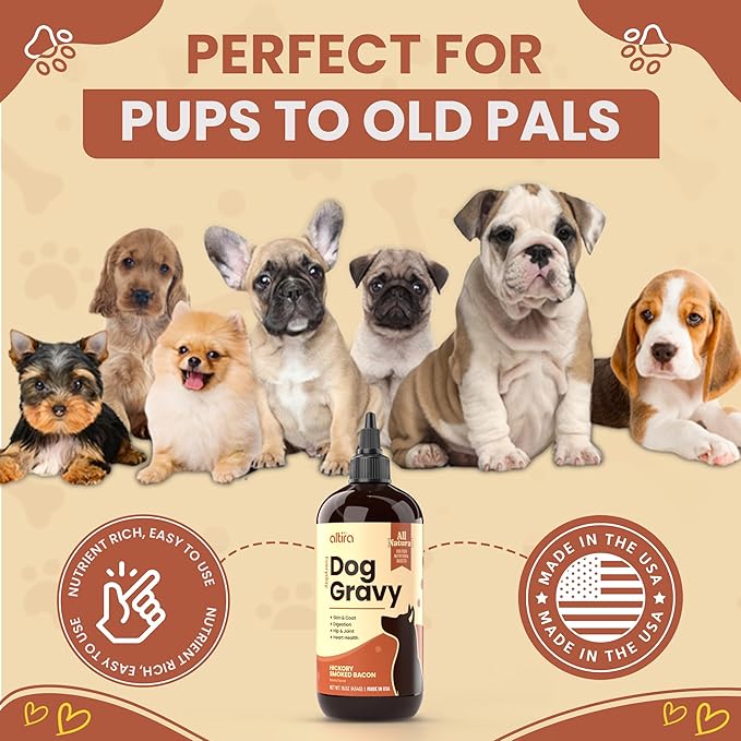 Everyday Dog Gravy Bacon – Premium Wet Dog Food Gravy Toppers for Dry Food – Tasty & Nutritious Dogs Gravy with Essential Vitamins and Supplements – Hip and Joint Supplement