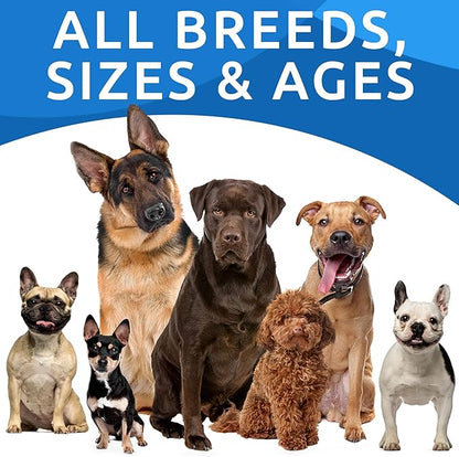 Hemp Chews Dogs Hip Joint Pain Relief - Glucosamine Chondroitin Hemp Treats for Joint Health - Dog Joint Supplement Large Breed & Small - Hemp Oil Pill - Canine Vitamin Treat Old Dog (240Ct/Chicken)