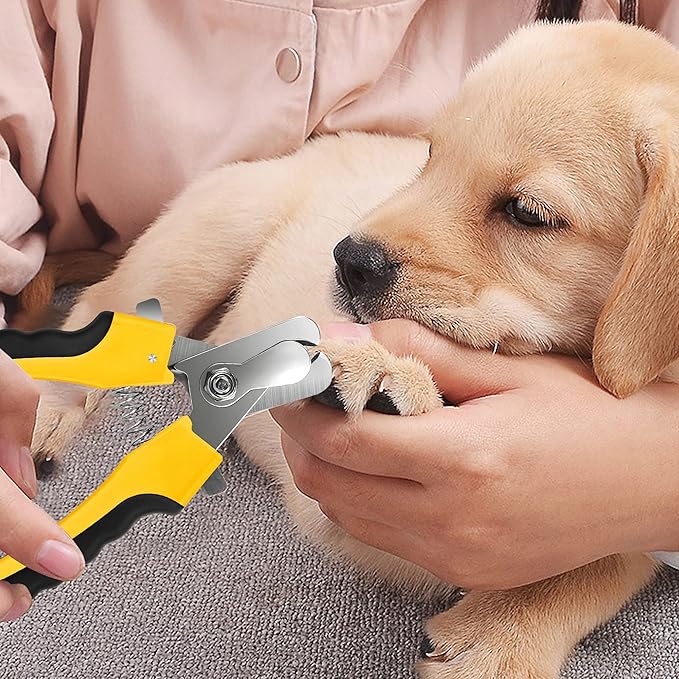 Dog Nails Clippers Trimmer with Safety Guard to Avoid Over-Cutting, Razor Sharp Blades with Bonus Dog Nail File, Cat Claw Clippers with Sturdy Non Slip Handles for Pets Dog Cat?Yellow & Black?
