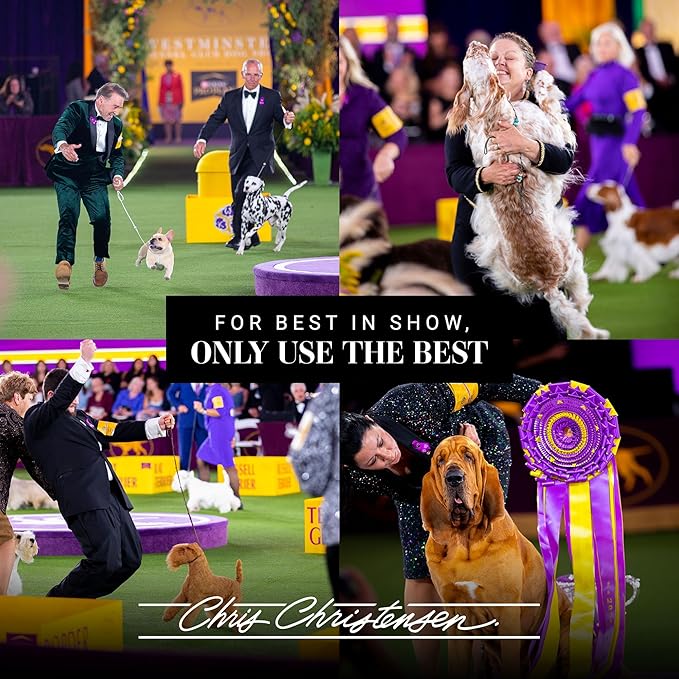 Chris Christensen 35mm Pin Dog Brush, Gold Series, Groom Like a Professional, Gold-Plated Stainless Steel Pins, Perfect for Fragile Coats, 30% More Pins, Ground and Polished Tips