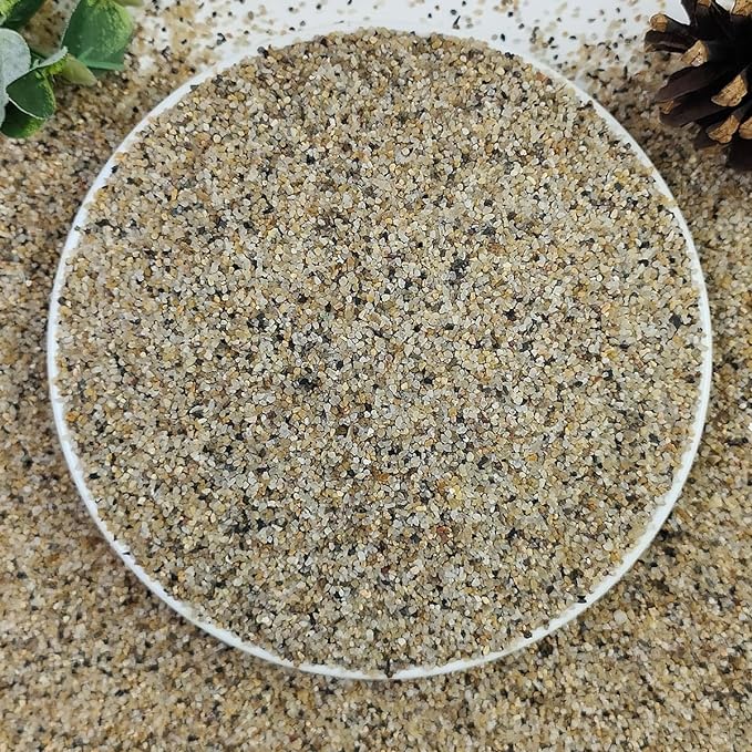 10lbs Aquarium Gravel, 1/16"(0.6-1.2mm) Natural River Rocks Succulent Cactus Pea Gravel for Plants, Fish Tank, Decorative Pebbles for Gardening, Flower Pots, Vase Fillers, Landscaping