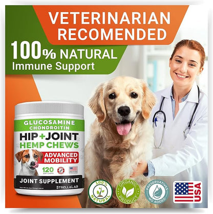 Large Breed Hemp + Glucosamine Dog Joint Supplement - Hemp Chews for Dogs Hip Joint Pain Relief - Omega 3, Chondroitin, MSM - Advanced Mobility Hemp Oil Treats for Large Dogs - Made in USA - 240 Ct