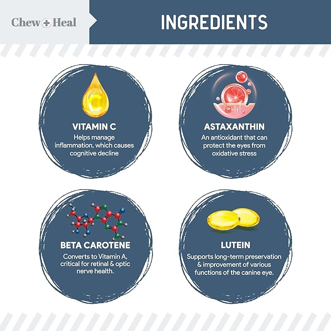 Senior Dog Vision and Cognition Chews - 120 Soft Chews for Dog Eye Care and Memory - 7-in-1 Multivitamin with Omega Fatty Acids, Vitamins, and Botanicals - Made in The USA