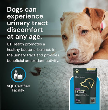 VETRISCIENCE Veterinary Strength UT Health Chews - Clinically Studied UT Support Supplement for Dogs - Supports Canine Urinary Health - Naturally Sourced - Features GanedenBC30-60 Count