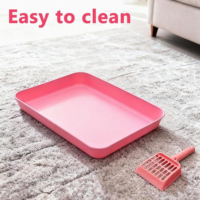 Cute Kitten Starter Kit, Small Cat Litter Box, Litter Scoop, Double Dish Feeding Bowl, Adjustable Cat Collar with Bell, Cat Mouse Toy,Low Entry Baby Kitten Training, First Catty Owner Essentials