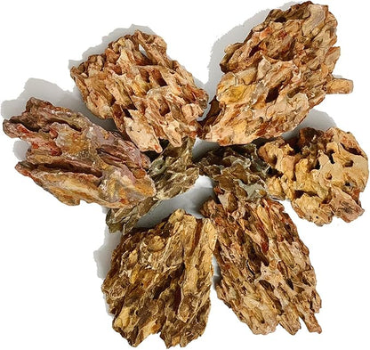 Dragon Stone Aquarium Scenic Stone Natural Porous Stone 2-10 Inch for Freshwater Tanks, Water Pours, Fish Tank Decoration (20lbs)