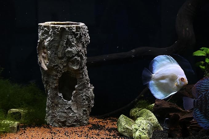 Large Reptile Hide, 12”, Aquarium Decor, Territorial Fish Hideaway, Hideout House, Reptile Decoration