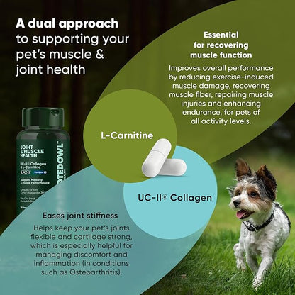 Rooted Owl Joint and Muscle Support for Cats and Small Dogs (Under 30 Lbs) - Supplement with UC-II Type II Collagen and L-Carnitine - 30 Count