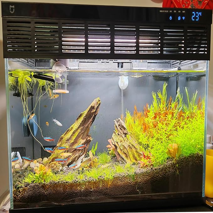 Dragon Stone Aquarium Scenic Stone Natural Porous Stone 2-10 Inch for Freshwater Tanks, Water Pours, Fish Tank Decoration (20lbs)