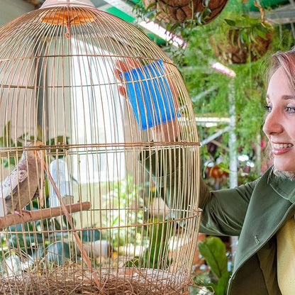 6 Pack Pet Cleaning Supplies Cage Saver Scrub Pad for Bird Rabbit Parakeet Guinea Pig Cleaning Cage Aquarium