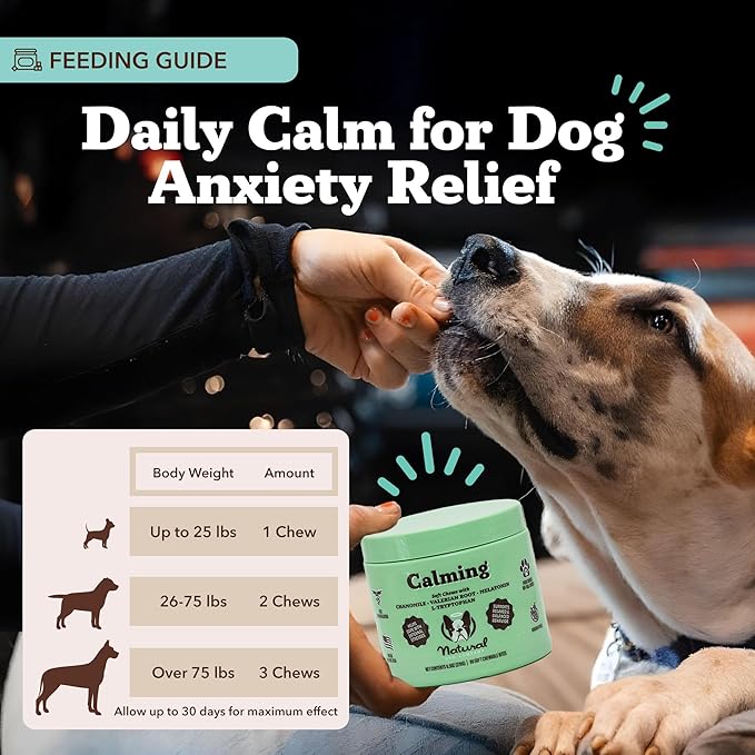 Natural Dog Company Calming Chews for Dogs, Stress & Anxiety Relief Supplement with Chamomile, Valerian Root & Melatonin, Natural Soothing Chews for Travel, Thunder, Fireworks & Separation (90 cnt)