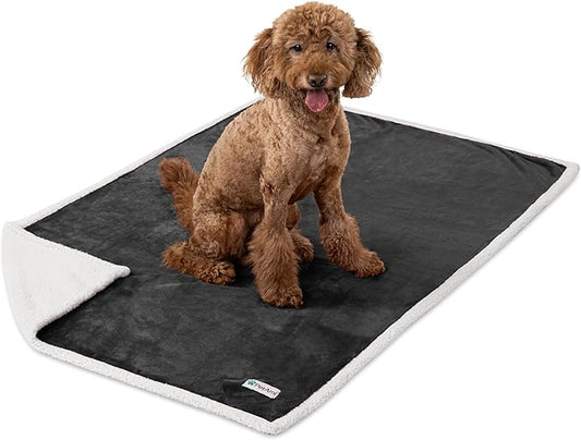PetAmi WATERPROOF Dog Blanket for Medium Large Dog, Pet Puppy Blanket Couch Cover Protection, Sherpa Fleece Cat Blanket, Sofa Bed Furniture Protector Reversible Soft Plush Washable, 60x40 Charcoal