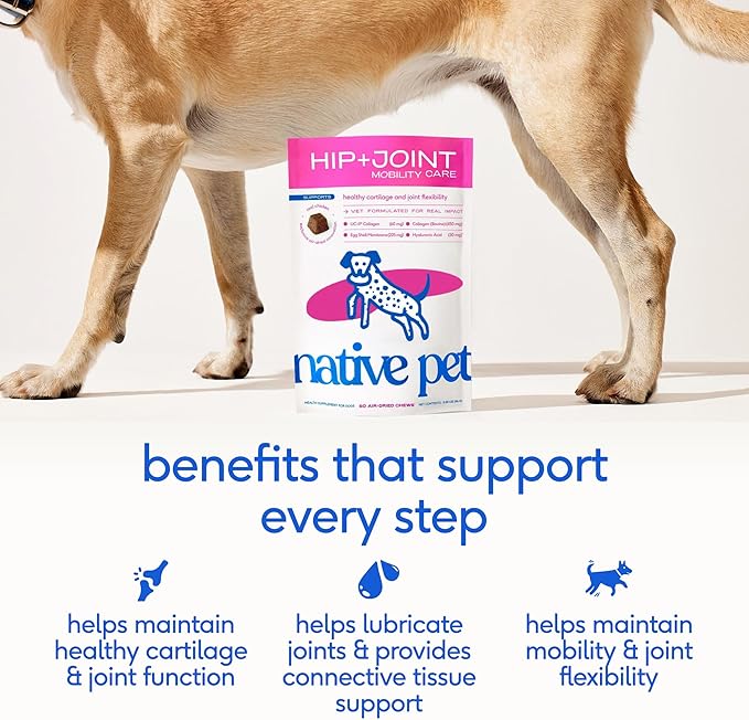 Native Pet Hip & Joint Supplement for Dogs - Advanced Dog Joint & Arthritis Supplement - Helps Maintain Healthy Cartilage, Joint Flexibility, Lubrication, & Function - with ESM & Collagen - 120 Chews