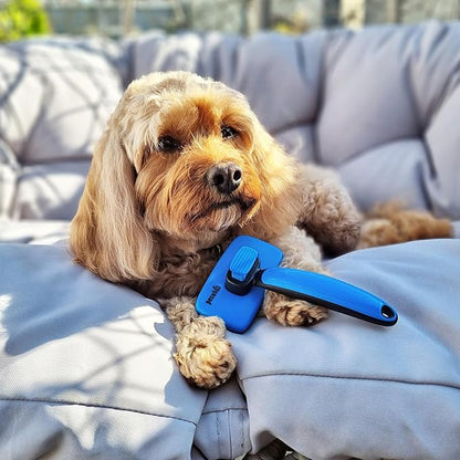 Pecute Self-Cleaning Slicker Brush for Dogs, Cats, Lightweight Dog Brush for Shedding Massaging Grooming, Cat Brush Gently Removes Loose Fur Undercoat for Dogs Cats Rabbits of All Hair Types