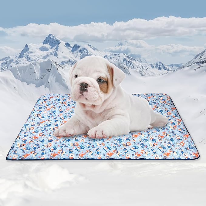 Premium Cooling Blanket for Dogs Pet Cooling Pads Washable Pet Cool Mat for Cats Hot Weather Puppy Lightweight Throw Calming Pad(28x40 inches)