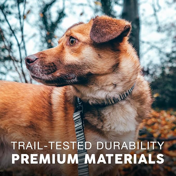 Embark Urban Dog Collar  Dog Collar Stylish & Durable Nylon Dog Collar for Large Dogs, Small Dogs & Medium Dogs.Comfortable Pet Collar Strong Buckles for Any Size Breed (Lunar, Large)