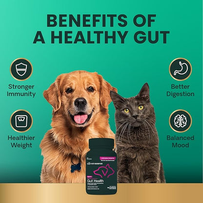 VetriScience Extra Strength Gut Health Easy-Open Capsules, Mega Probiotic and Prebiotic Digestive Supplement for Dogs and Cats, for Diarrhea and Immune Support, 7.5 Billion CFU Per Capsule, 120 Count