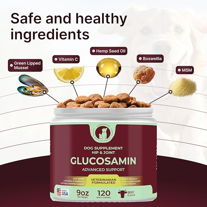 Hip & Joint Supplement for Dogs – Mobility Support with Glucosamine, Chondroitin, MSM, Turmeric, Mussel, Hemp Dog Joint Pain Relief – 120 Soft Chews for Large, Medium, Small Dogs Breeds– Beef Flavor