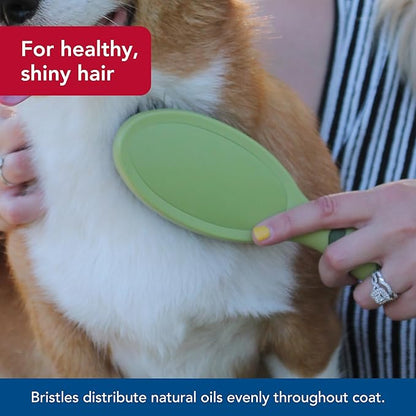 Coastal Pet - Safari - Bristle Dog Brush, Brush, Large (9" L x 2.625" W)