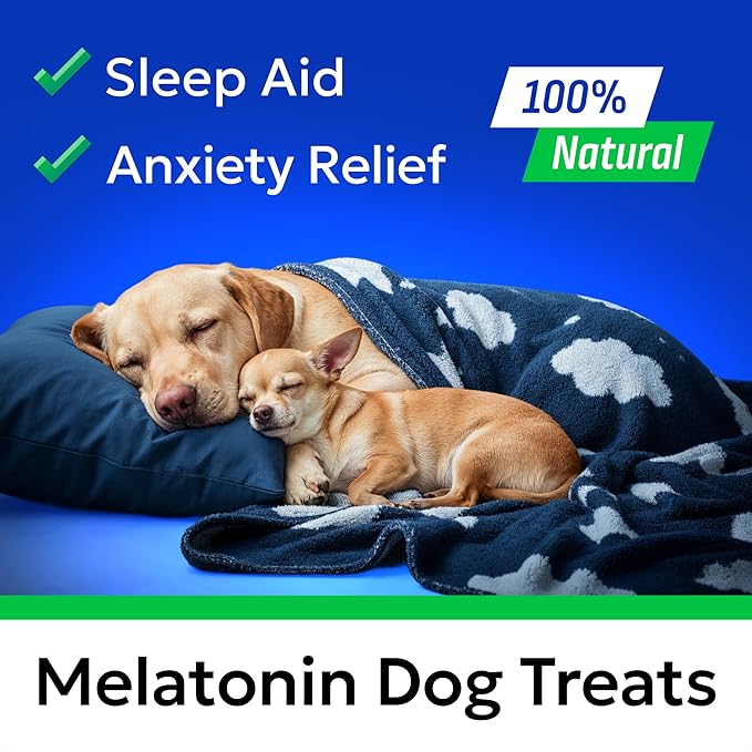 (MAX Strength) Melatonin for Dogs to Sleep & Anxiety Aid - Medium & Small Breeds - 6mg Doggie Sleeping Pills - 120 Treats