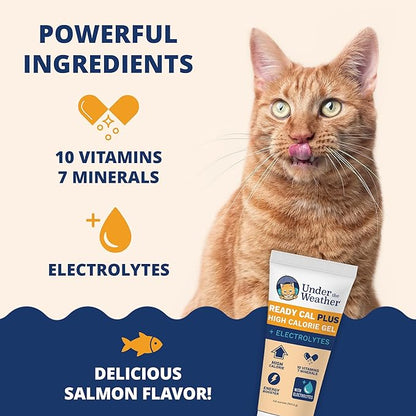 Under the Weather Pet Electrolytes Ready Cal Plus Gel for Cats | Vet-Formulated High-Calorie Supplement for Cats & Kittens | Promotes Weight Gain & Boosts Energy for Sick Felines | 3.5 Oz Tube Pack