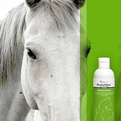 Vet One Dog Allergy Shampoo - Vet formula dog Shampoo for Dogs 8 oz