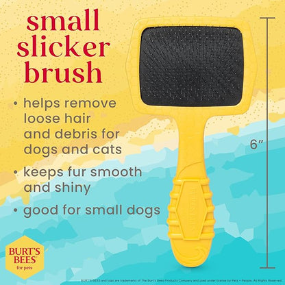 Burt_ Bees for Pets Small Slicker Brush for Dogs with Thick or Curly Hair with Handle Made from Recycled Plastics Collected from Coastal Communities | De-Shedding Dog Brush Removes Knots and Matting