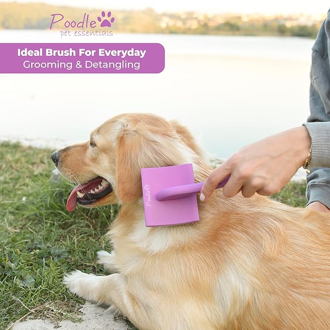 POODLIE Slicker Brush for Dogs - Detangling Dog Brushes for Grooming with Soft Bristles & Long Pins - Professional Cat Deshedding Tool to Removes Tangles & Dirt (Large)