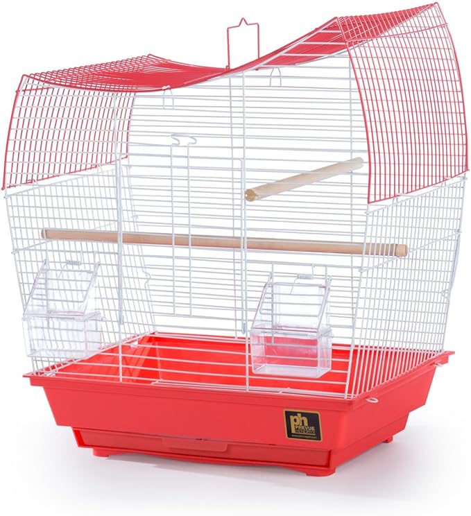 Prevue Pet Products South Beach Wave Top Bird Cage, Lime Green (SP50081)