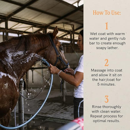 J·R·LIGGETT'S Botanical Horse Liquid Shampoo for Sensitive Skin | Hypoallergenic Biodegradable Shampoo Formula for Horses | 100% Eco-Friendly | Detergent-Free Horse Supply | 16.9fl.oz