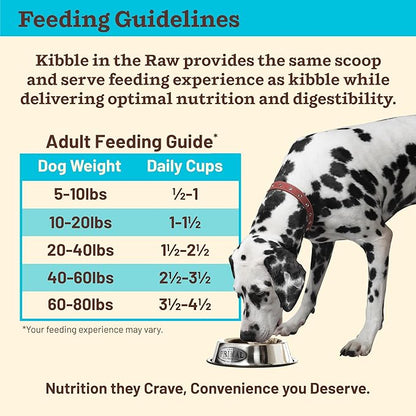 Primal Kibble in The Raw, Freeze Dried Dog Food, Fish & Pork, Scoop & Serve, Made with Raw Protein, Whole Ingredient Nutrition, Crafted in The USA, Dry Dog Food 1.5 lb Bag