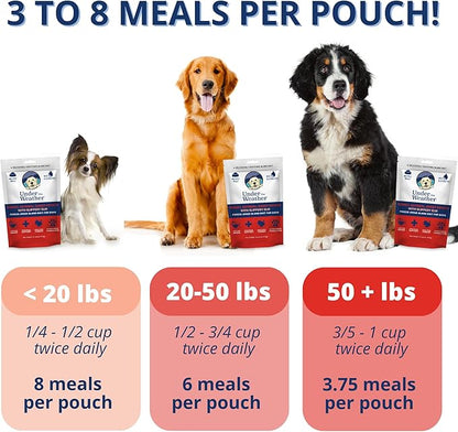 Under the Weather Bland Diet for Dogs | Easy to Digest Stomach Support for Sick Dogs | Contains Electrolytes, All Natural | 1 Pack - Turkey, Oatmeal, Sweet Potato & Slippery Elm for Dogs - 6oz