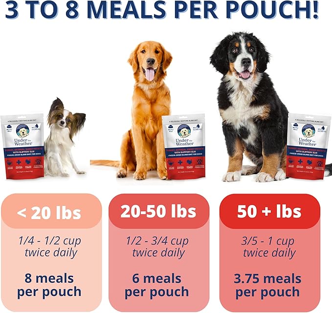 Under the Weather Bland Diet for Dogs | Easy to Digest Stomach Support for Sick Dogs | Contains Electrolytes, All Natural | 2 Pack - Turkey, Oatmeal, Sweet Potato & Slippery Elm for Dogs - 6oz