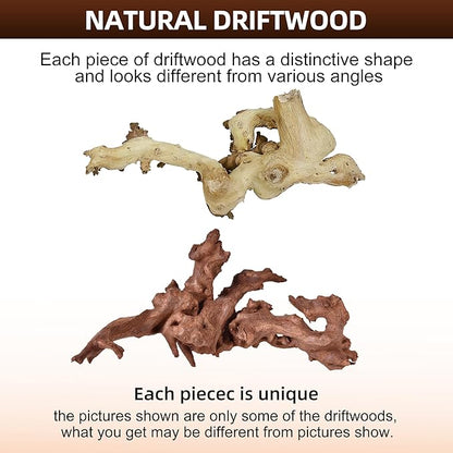 majoywoo Natural Large Coral Driftwood for Aquarium Decor Reptile Decor, Assorted Driftwood Branch 9-14" 2 Pcs, Fish Tank Decoration