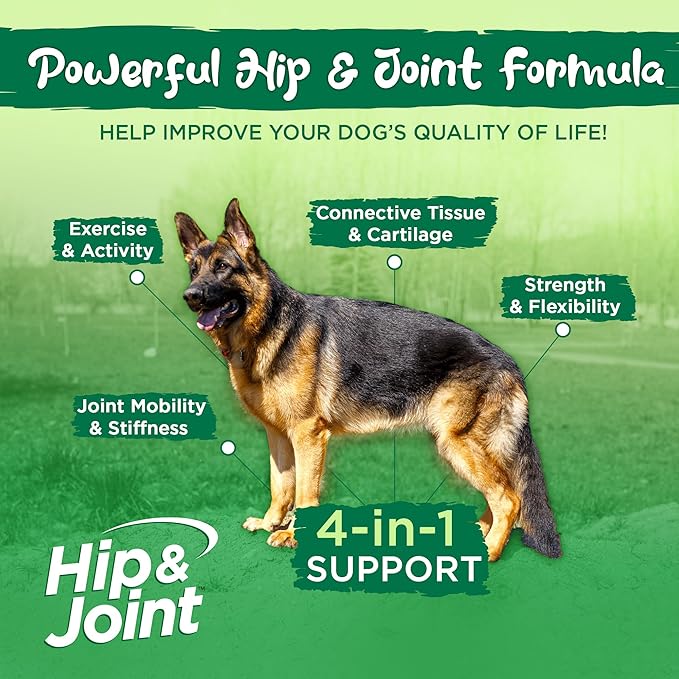 Vital Planet - Hip and Joint Soft Chews for Dogs, with Glucosamine, MSM, and Collagen from Green-Lipped Mussel - 30 Bacon Flavored Soft Chews