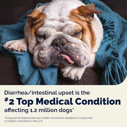 Vetnique Glandex Daily Probiotics for Dogs with Prebiotics to Support Gut Health with Fiber and Digestive Enzymes, Probiotic Chews or Powders (8.5oz Powder, Pork Powder)