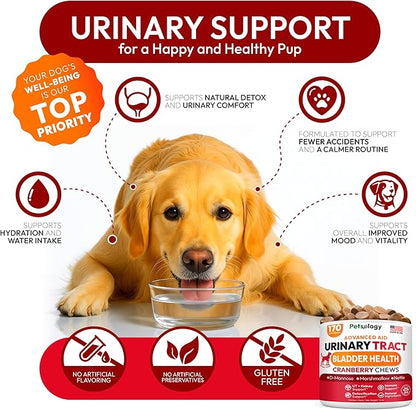 Dog UTI Treatment - 170 Cranberry Chews for Dogs - Urinary Tract Infection, Bladder & Kidney Health Multivitamin - Cranberry Supplement for Dogs with D-Mannose - Dog Vitamins and Supplements