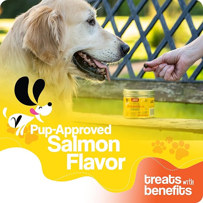 Dog Allergy Relief  8 in 1 Multivitamin Dog Chewables for Senior Dogs Allergies - Antioxidant Superfood Pet Vitamins for Digestion, Hip, Joint, Heart, Brain Health, 90 Soft Chews