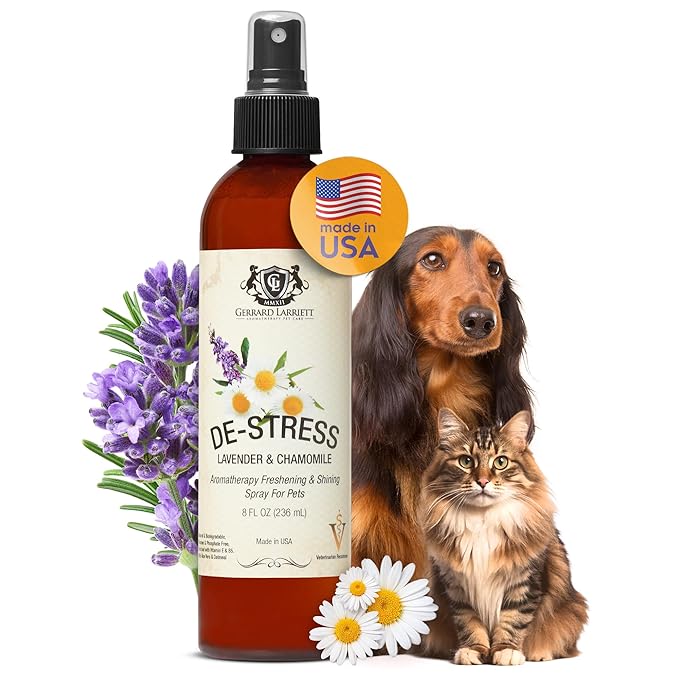 Dog Perfume Spray Long Lasting Chamomile & Lavender 8 Fl Oz, Dog Cologne Spray Long Lasting for Groomers, Calming Deodorizer Perfume for Dogs, Pet Puppy Deodorizing Fragrance by Gerrard Larriett