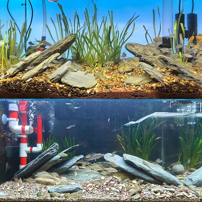 Aquarium Stone Stream Turtle Platform Natural Slate 3-9 inches Turtle Tank Rocks for Aquarium Decoration and Amphibian Habitat (20lb)