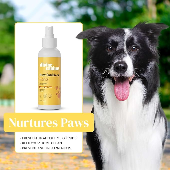 Dog Paw Cleaner - 5.1 Fl Oz of Alcohol Free Paw Sanitizer Spritz - Made with Aloe, Copaiba Oil, and Lemongrass Oil to Nourish and Clean Paws - Made in The USA