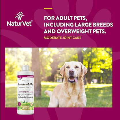 NaturVet Glucosamine DS Plus Hip & Joint Support Liquid Pet Supplement  Level 2 Moderate Care for Dogs & Cats  Includes Glucosamine, MSM, Chondroitin  16 Oz
