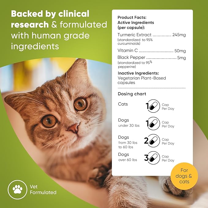 Rooted Owl Turmeric - Turmeric Supplement for Dogs and Cats - with Curcumin, Piperine and Vitamin C for Anti-Inflammatory Relief - 60/ct