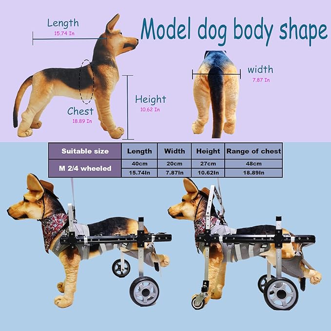 Dog Wheelchair,Lightweight Aluminum Frame with Handle,Extended Leg Straps,Includes Leash,Fits Pugs,French Bulldogs,and Schnauzersï¼_iddle Sizeï¼/Beagle,Corgi,and Cocker Spanielï¼_arge Sizeï¼